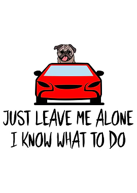 Leave Me Alone I Know What