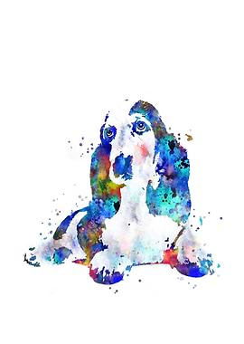 Basset hound