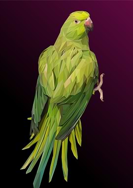 Parrot Bird