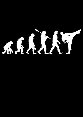 Aikido Evolution