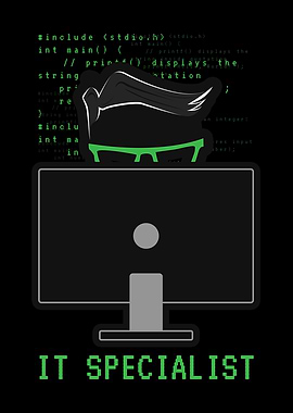 Programmer IT Professional