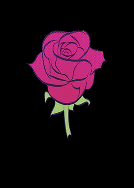 Beautiful rose as a flower