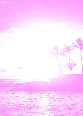 Pink Beach Palm Tree