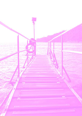 Pink Bridge Sea Poster