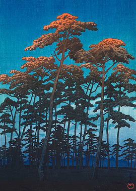 Hikawa Park At Omiya