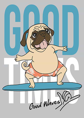 Surfer Pug