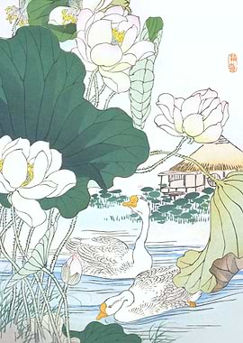 Geese And Lotus Flowers