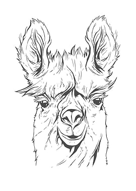 Funny Llama Gift Alpaca