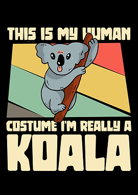 Im really a koala