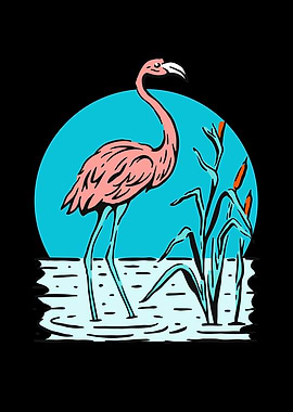 Pink Flamingo Nature