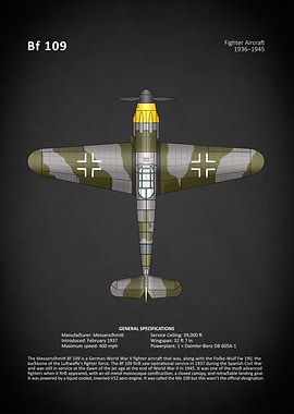 The Messerschmitt BF 109