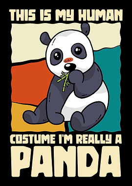 Im really a panda