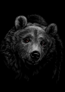 Bear Sketching