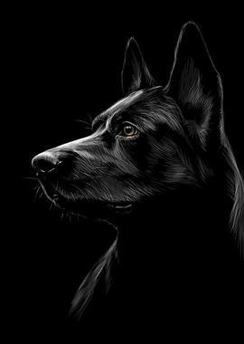 German Shepherd Sketching