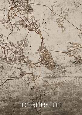 Charleston Rustic City Map