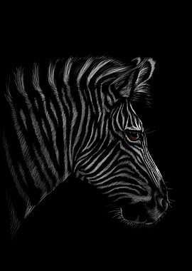Zebra Sketching