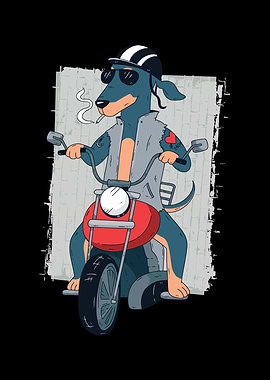 Dachshund as Biker