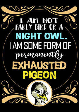 Puffin Funny Sea Bird