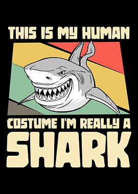 Im really a shark