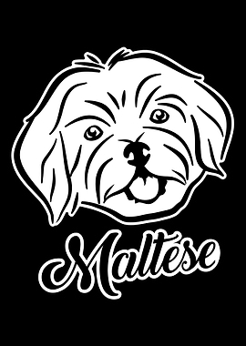 Maltese