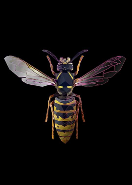 wasp