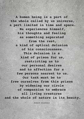 Albert Einstein Quote L059