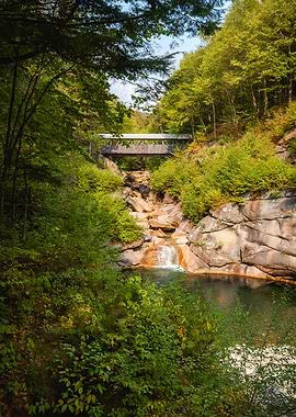 Sentinel Pine bridge