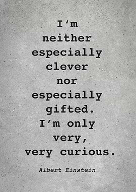 Albert Einstein Quote L055