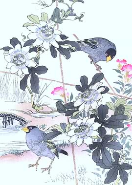 Grosbeacks And Passiflora