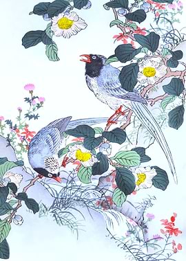 Rosa Laevigata And Magpies