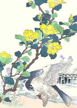 Hawk And Hibiscus Flowers