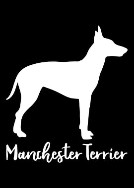 Manchester Terrier