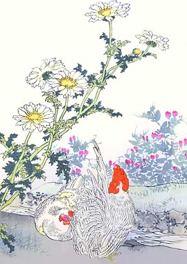 Chicken And Chamomile