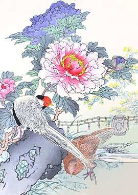 Pheasants And Peonies