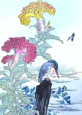 Kingfishers And Cockscombs