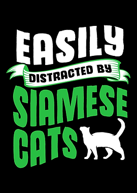 Funny Siamese Cat