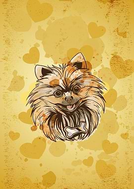 Pomeranian Pom Puppy Dog