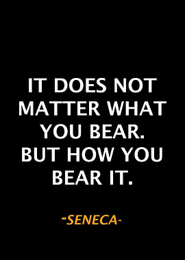 Seneca Qoute
