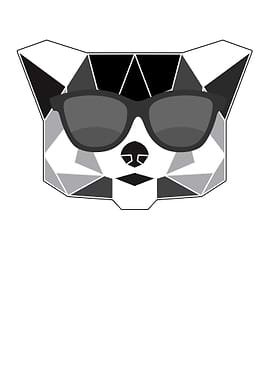 Panda Sichuan Cute Bear