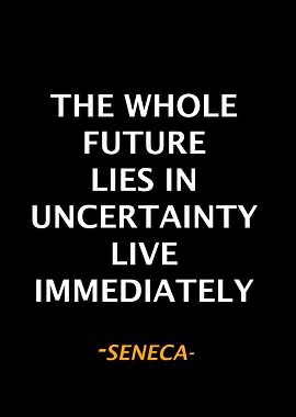 Seneca Qoute