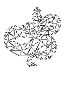 Colored Serpent Squamata