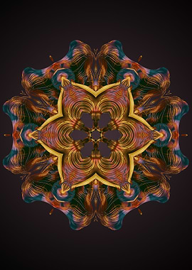 Mandala 2