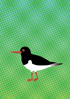 Digital oyster catcher