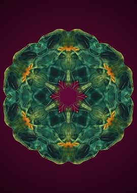 Mandala 6