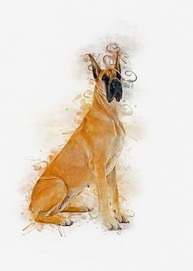 Great Dane