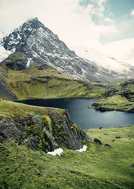 This dog ruined the photo