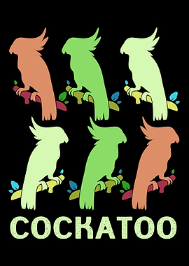 Cockatoo Colorful Bird