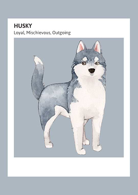 Husky Animal painted