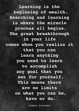 Albert Einstein Quote D044