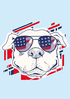 AMERICAN DOG WITH SUNGLASS